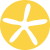 Icône représentant une étoile de mer blanche sur un fond jaune - Alexy RH