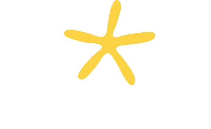 Logo d'Alexy RH, cabinet de conseil RH et de recrutement. Représente une étoile jaune au dessus du nom Alexy RH.